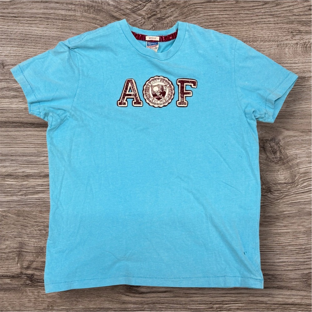 Abercrombie & Fitch Mens T-Shirt Blue Large Muscle Fit AOF Graphic